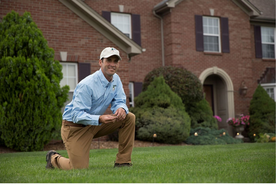 Cover photo of Lawn Doctor of Albuquerque