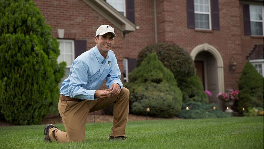 Cover photo of Lawn Doctor of Albuquerque