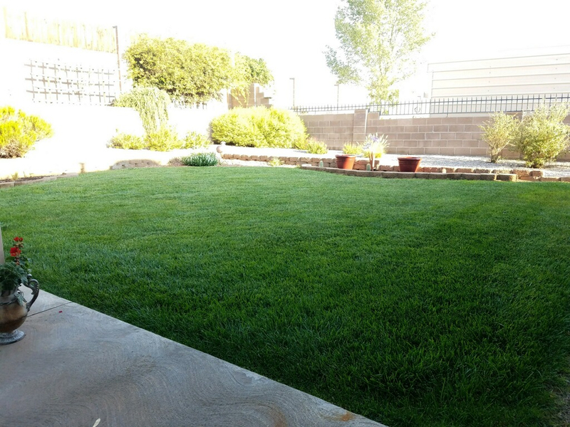 Cover photo of Lawn Doctor of Albuquerque